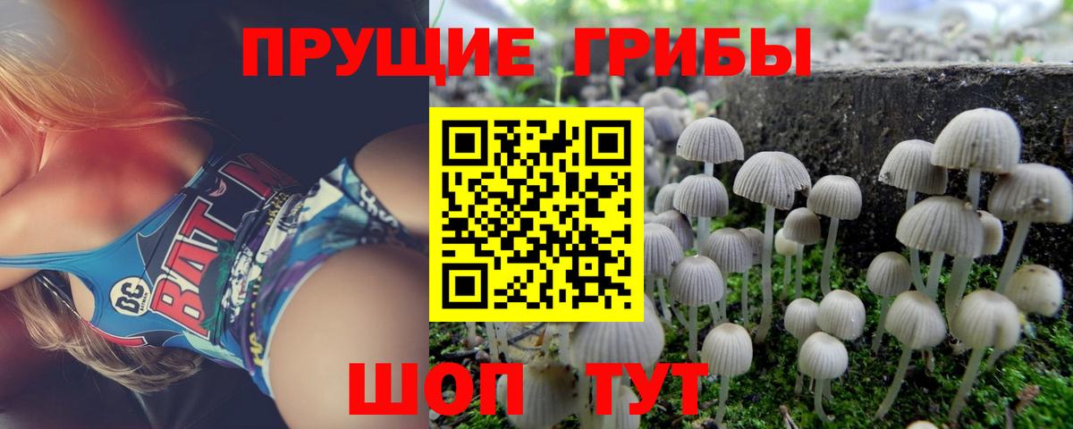 Галлюциногенные грибы Cubensis Барнаул