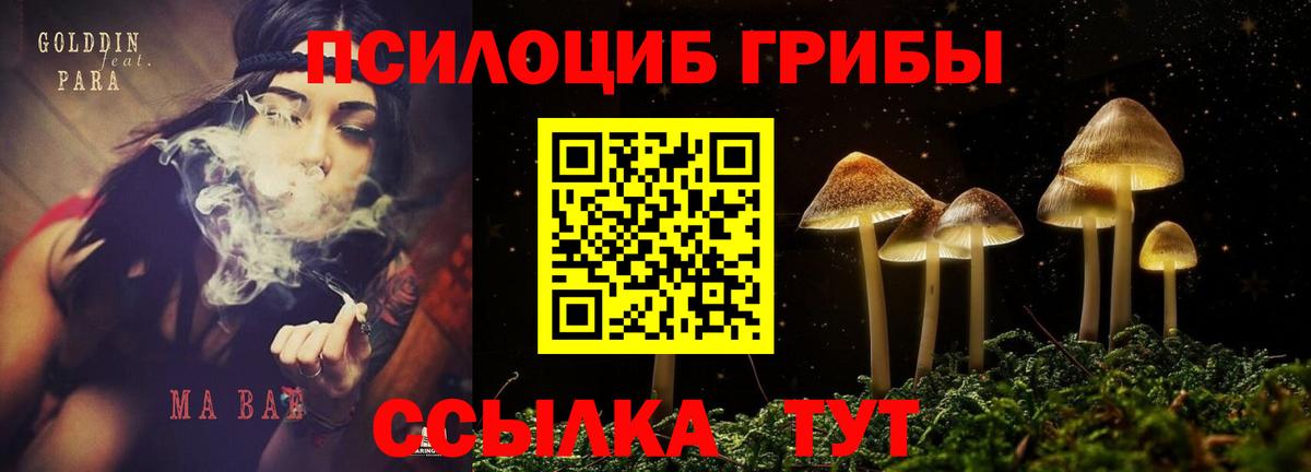 Барнаул  Галлюциногенные грибы GOLDEN TEACHER  Вход с VPN 
